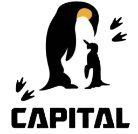 CAPITAL